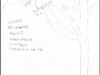 tree11a.jpg