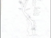 tree13b.jpg
