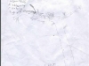 tree1b.jpg