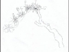 tree3b1.jpg