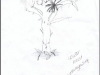tree4a.jpg