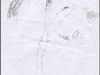 tree4c.jpg