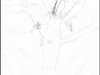 tree8a.jpg