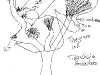 bromeliad_2006-2007_046.png