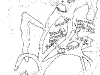 bromeliad_2006-2007_076.png