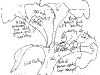 bromeliad_2006-2007_077.png