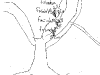 bromeliad_2006-2007_086.png