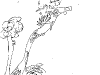 bromeliad_2006-2007_090.png