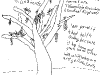 bromeliad_2006-2007_096.png