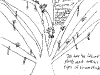 bromeliad_2006-2007_098.png