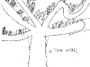 bromeliad_2006-2007_100.png