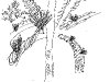 bromeliad_2006-2007_102.png