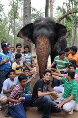 eephant-with-students