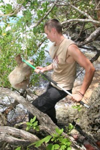 bryson grabbing sloth with stick