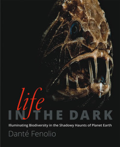 Life in the Dark