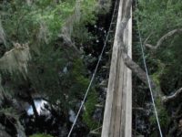 8 Trails In Florida You Must Take If You Love The Outdoors