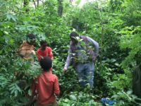 Assessing the biological diversity of Church forests in South Gondar, Ethiopia