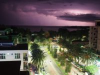 Biodiversity of Church forests – Update