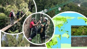 Canopy Conference 2020 1st Announcement English 20191215