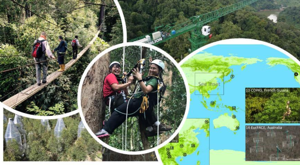Canopy Conference Cover