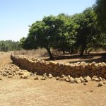 Stones from the fields both increase agricultural yield but also conserve the church forests