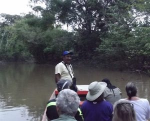 Birding on Amazon river Birding on Amazon river