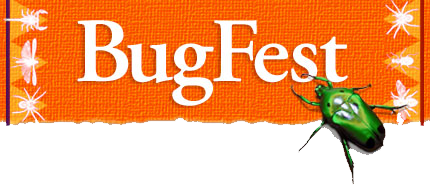 bugfest