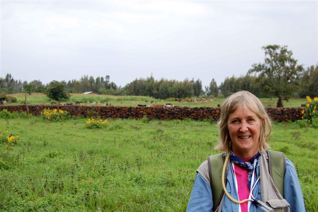 meg_wall_site_1 Meg and the Wall around the forest of Zhara